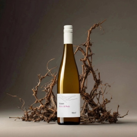 Kirsten Blanc de Noir