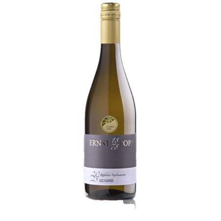 Silvaner Küchenmeister